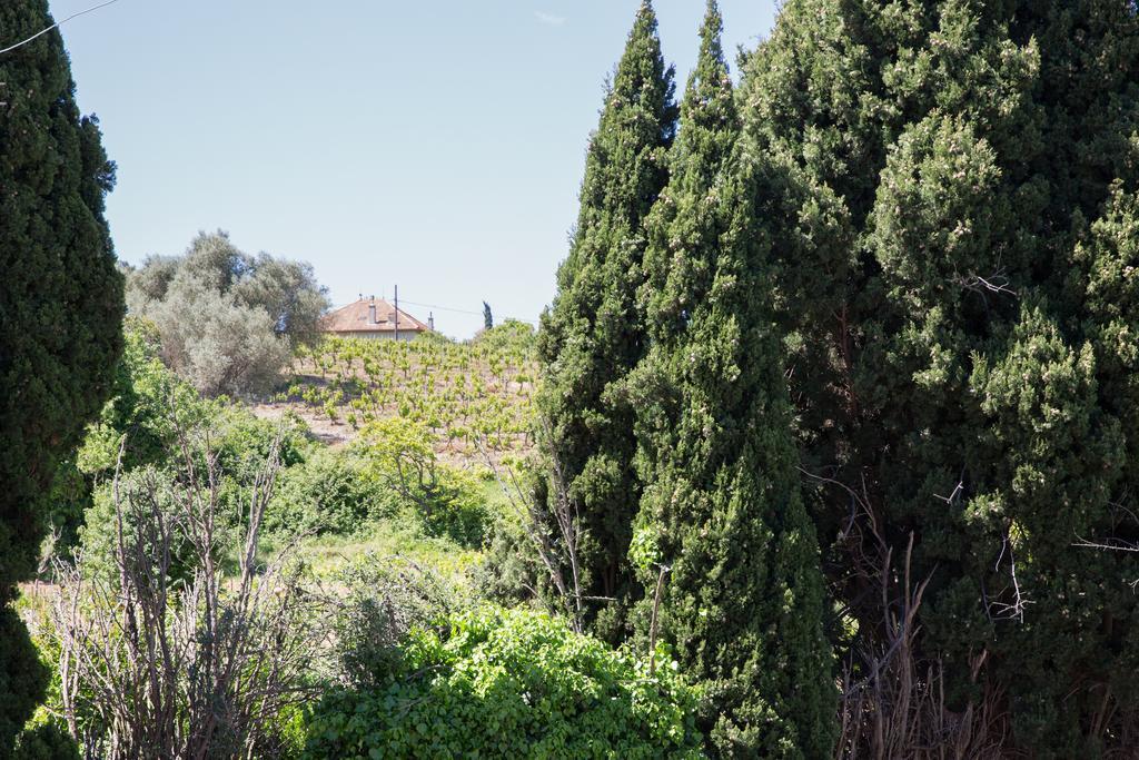 טולון Residence La Source מראה חיצוני תמונה